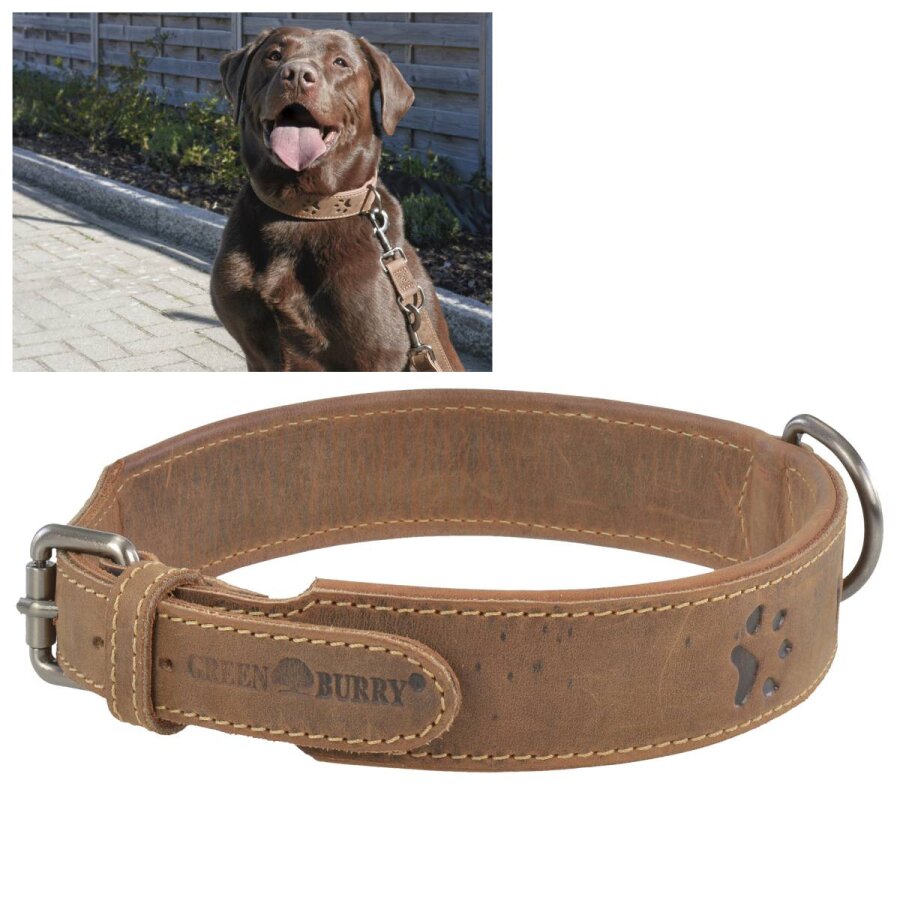 Greenburry Hundehalsband Leder Vintage antik braun 46-53cm